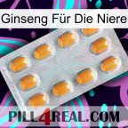 Ginseng Für Die Niere cialis3